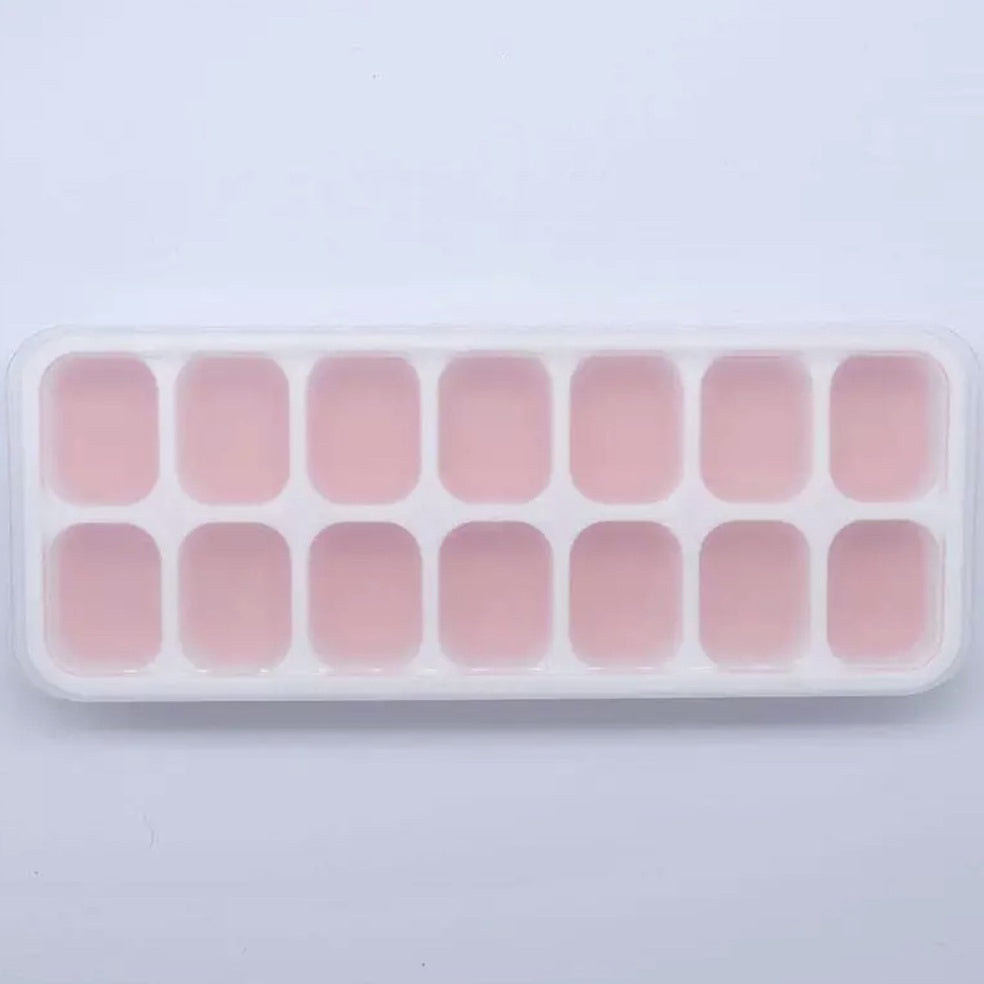 (Ready Stock)Silicone Ice Cube Tray Mold With Clear Cover Popsicle Kitchen Mould Fruit Maker Freezer