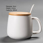 (READY STOCK)Coffee Tea Mug with Wood Handle Nordic Design With Lid and Spoon 350ml 420ml 460ml